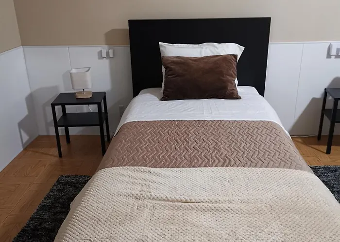 Проживание в семье Viegas *